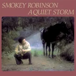 A Quiet Storm by Smokey Robinson