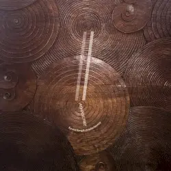 Reverse Tree by Eyvind Kang & Jessika Kenney