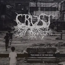 True Shades of the True World by Crust