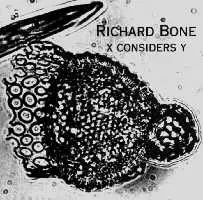 X Considers Y by Richard Bone