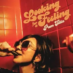 Looking for a Feeling by Pam Tillis