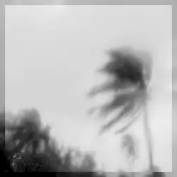 chiraq by Yokohama