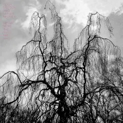 Never Were the Way She Was by Colin Stetson & Sarah Neufeld