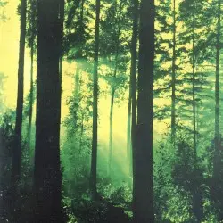 Forests of Witchery by Thy Serpent