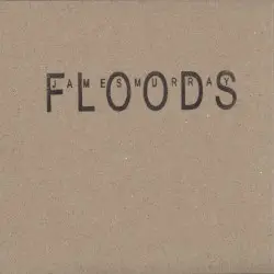 Floods by James Murray
