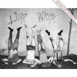 Want Us Dead by Limp Wrist
