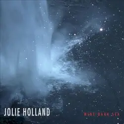 Wine Dark Sea by Jolie Holland