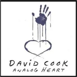 Analog Heart by David Cook