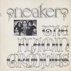 Sneakers by The Flamin Groovies