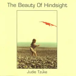 The Beauty of Hindsight, Volume 1 by Judie Tzuke