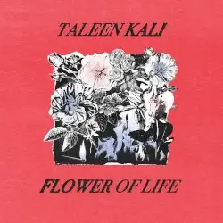 Flower of Life by Taleen Kali