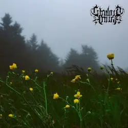 Where Birds Sing My Name by Twilight Fauna