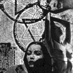Reflective Flesh by Al Lover