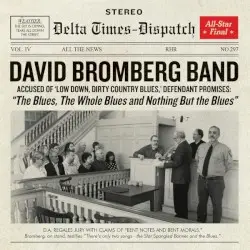 The Blues, The Whole Blues, and Nothing But The Blues by David Bromberg Band