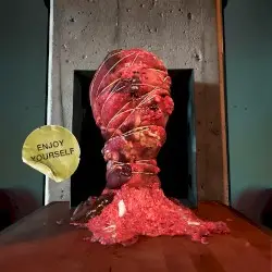 Enjoy Yourself by Melted Bodies