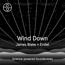 Wind Down by James Blake & Endel