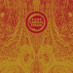 Cardiac Strain by Aube