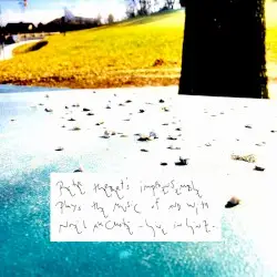Plays the music of & with (Live In Linz) by Peter Herbert & Noël Akchoté
