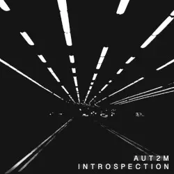 Introspection by AUT2M