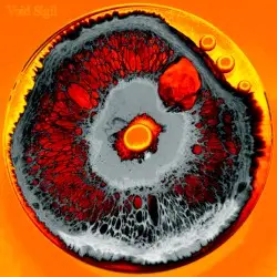 [Colonies of Microsonotecture] by Void Sigil