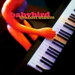 The Last Album by Babybird