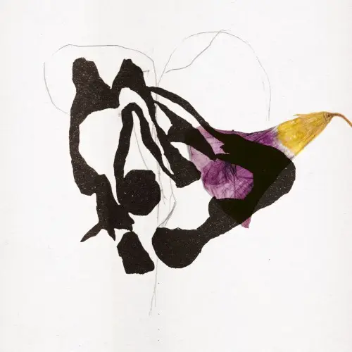 Vies sylvestres by Roxane Métayer