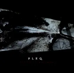 Sound of Rebirth by Pleq