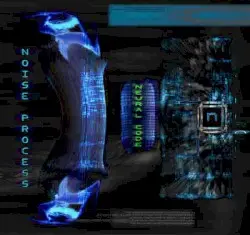 Neural Code by Noise Process