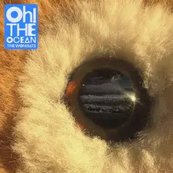 Oh! The Ocean by The Wombats