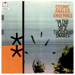 In The Land of A Thousand Snares (The Mundane and the Cosmic Vol. 7-8) by Cosmic Analog Ensemble