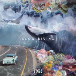 Slow Diving by Cats Park