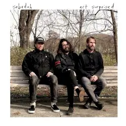 Act Surprised by Sebadoh