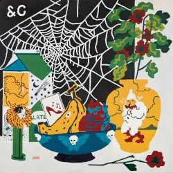 Sympathy for Life by Parquet Courts
