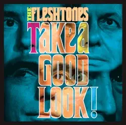 Take a Good Look! by The Fleshtones
