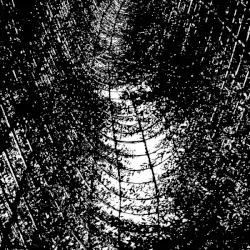 Emergent Behaviours by Moss Harvest