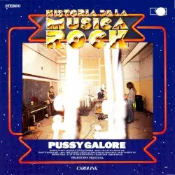 Historia de la musica rock by Pussy Galore