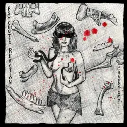 Turtles Reaction by Psychotic Reaction