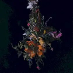 nature morte by BIG|BRAVE