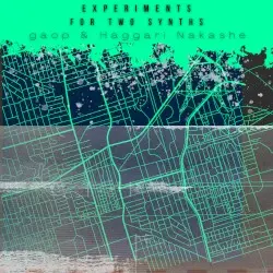 Experiments for Two Synths by Gaop & Haggari Nakashe