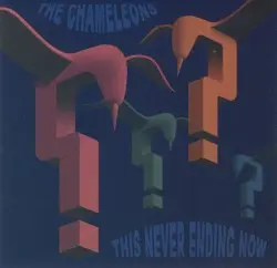 This Never Ending Now by The Chameleons