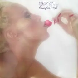 Electrified Funk by Wild Cherry