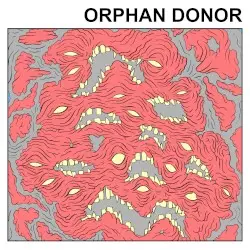 Orphan Donor by Orphan Donor