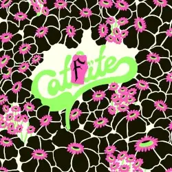CATFITE by Catbite