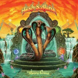 Terra Firma by Tash Sultana