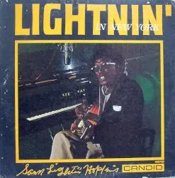 Lightnin' in New York by Lightnin’ Hopkins