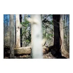 Seven Reorganisations by Beatrice Dillon