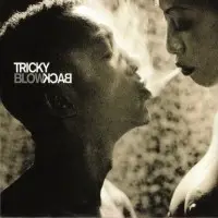 Blowback by Tricky