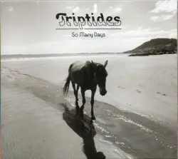 So Many Days by Triptides