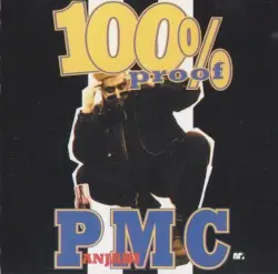 100% Proof by Panjabi MC