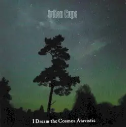 I Dream the Cosmos Atavistic by Julian Cope